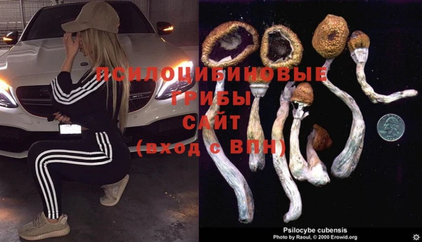 Альфа ПВП Бронницы