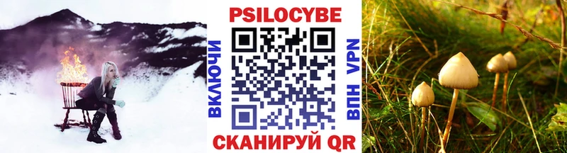 Псилоцибиновые грибы Cubensis  где найти   Энгельс 
